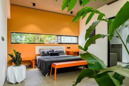 The Colour Burst House